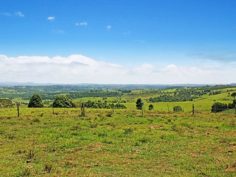 258 Cameron Road, Mcleans Ridges NSW 2480