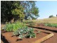 154 Mason Road, Tucki Tucki NSW 2480