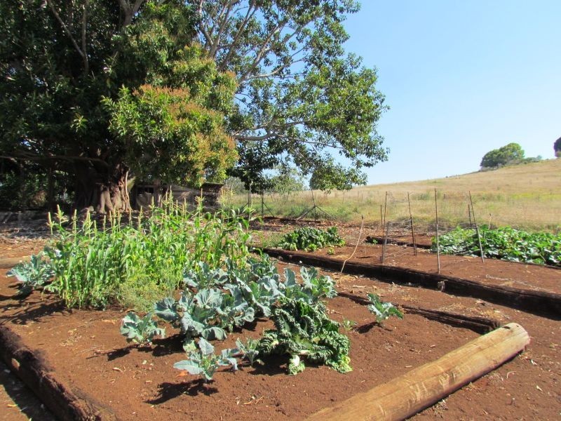 154 Mason Road, Tucki Tucki NSW 2480