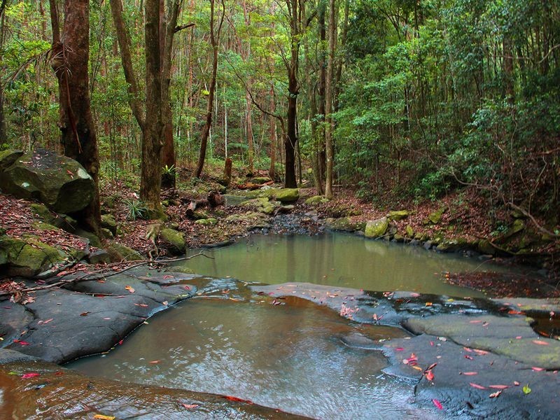 265 Bartletts Lane, Meerschaum Vale NSW 2477