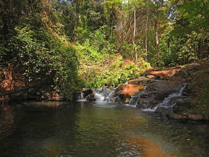 100 Dillons Lane, Alstonville NSW 2477