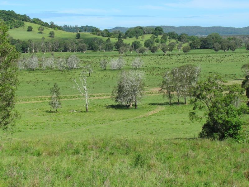 40 Gollan Road, Marom Creek NSW 2480