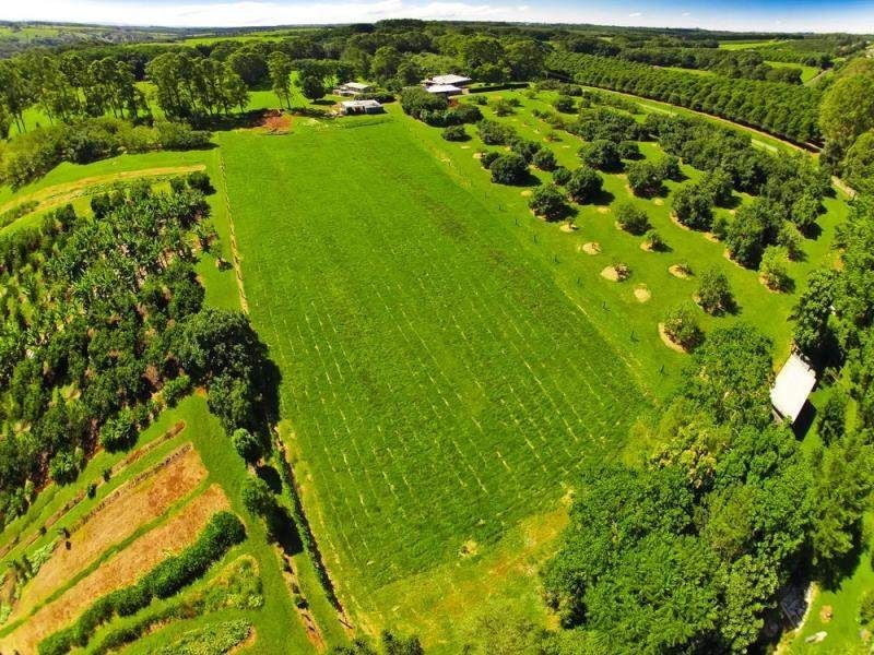 19 Hewetson Lane, Rous Mill NSW 2477