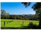 19 Hewetson Lane, Rous Mill NSW 2477