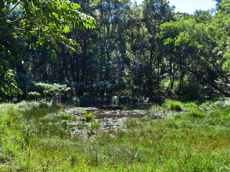 19 Hewetson Lane, Rous Mill NSW 2477