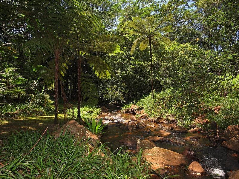 100. Dillons Lane, Alstonville NSW 2477