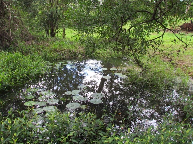 71 Cowlong Road, Mcleans Ridges NSW 2480