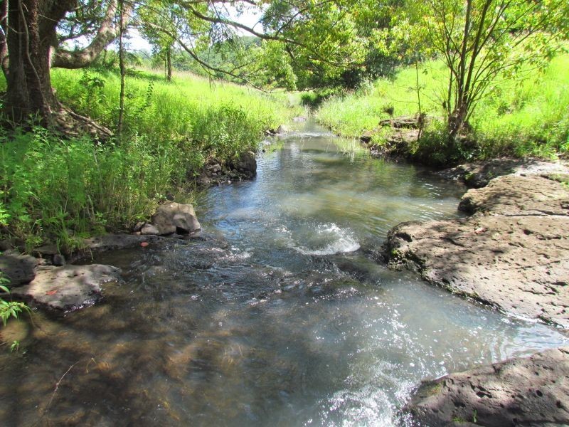 5. Roy Place, Richmond Hill NSW 2480