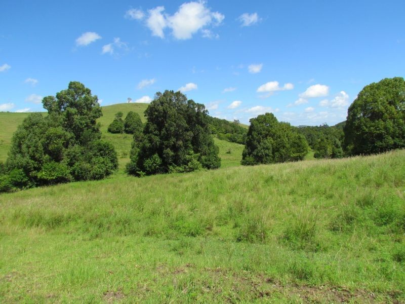 5. Roy Place, Richmond Hill NSW 2480