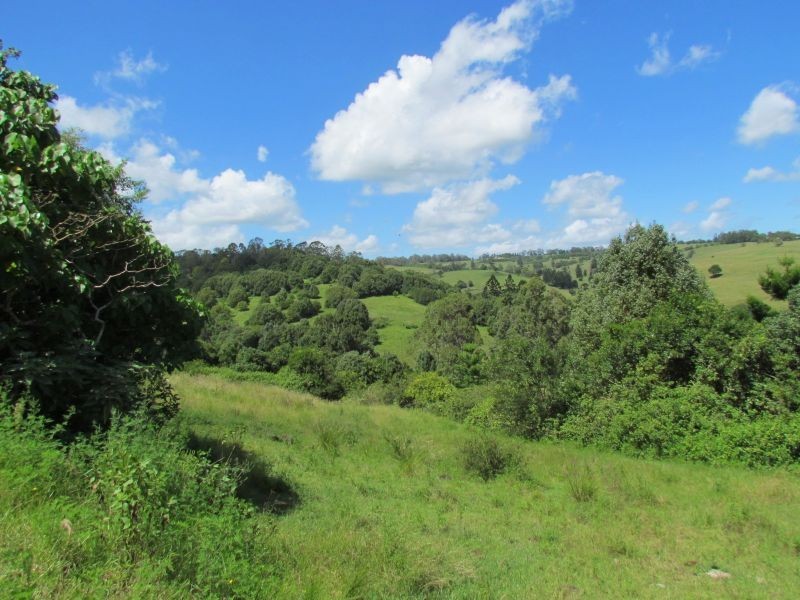 5. Roy Place, Richmond Hill NSW 2480