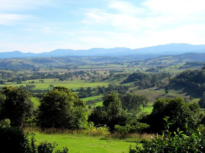 157 Cowlong Road, Mcleans Ridges NSW 2480