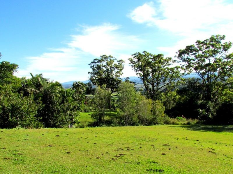157 Cowlong Road, Mcleans Ridges NSW 2480