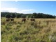 Lot 1 Bartletts Lane, Meerschaum Vale NSW 2477