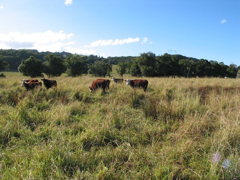 Lot 1 Bartletts Lane, Meerschaum Vale NSW 2477