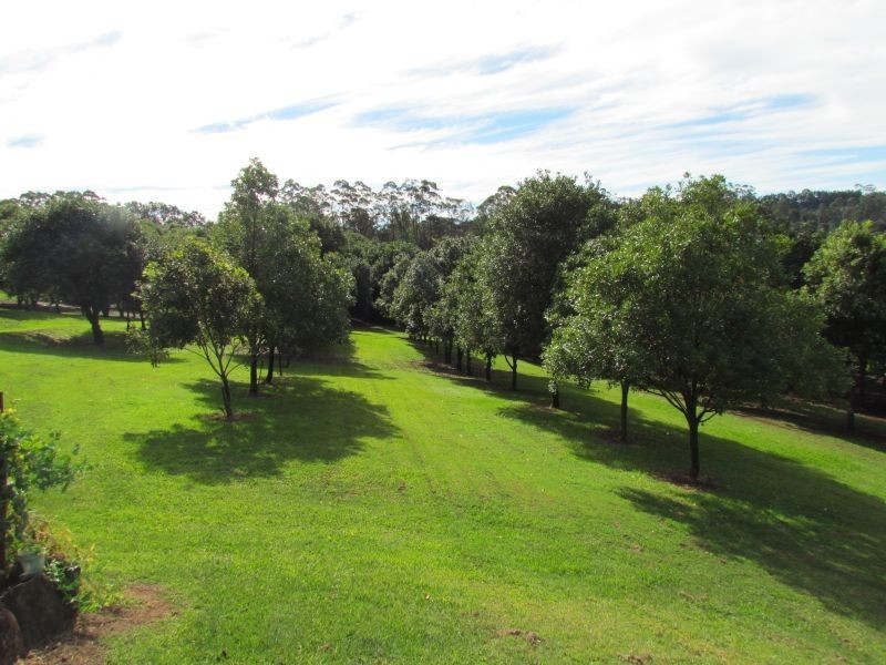 123. Alstonvale Road, Alstonville NSW 2477