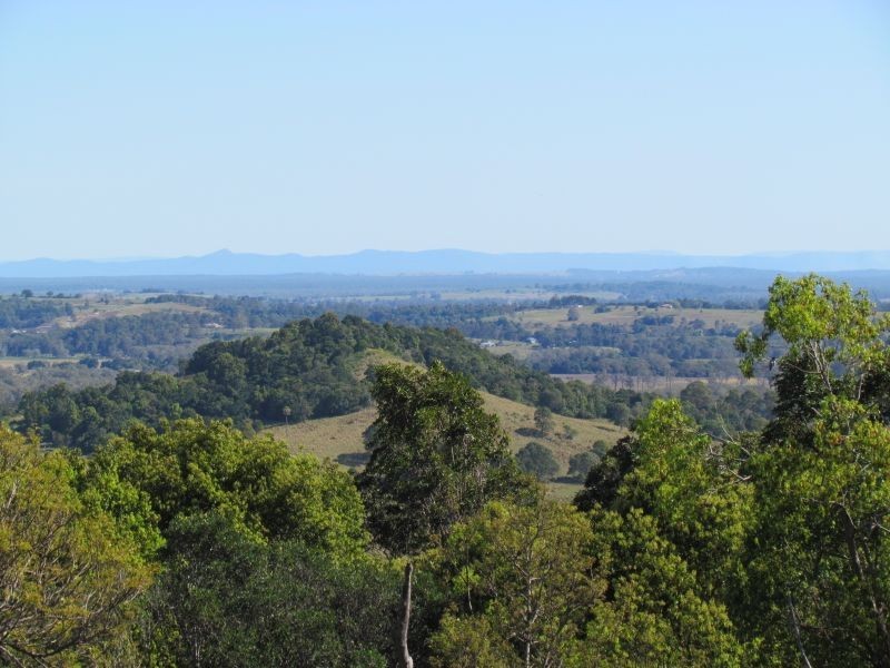 250 Cooks Lane, Dalwood NSW 2477