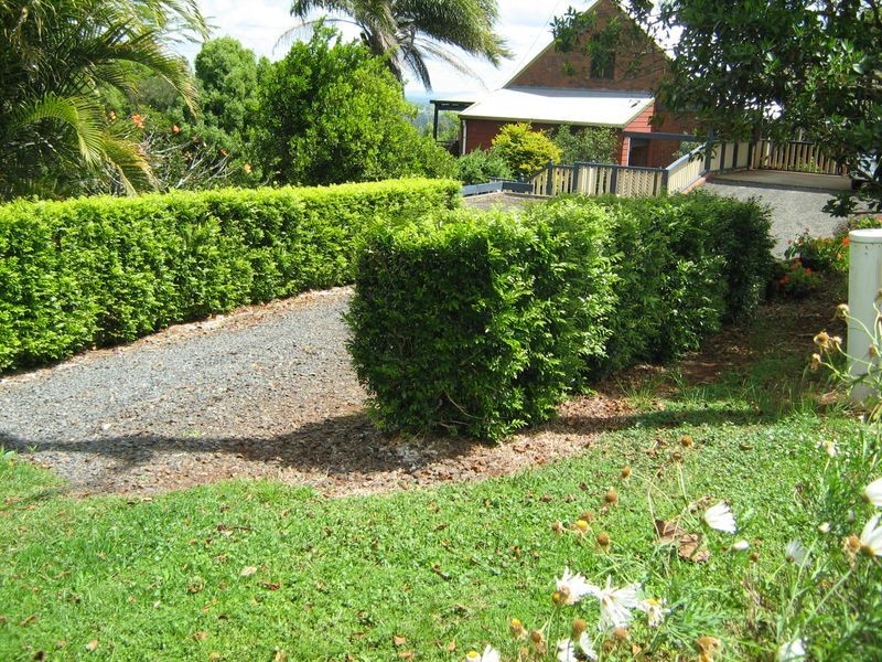 250 Cooks Lane, Dalwood NSW 2477