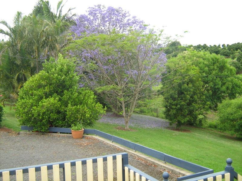 250 Cooks Lane, Dalwood NSW 2477