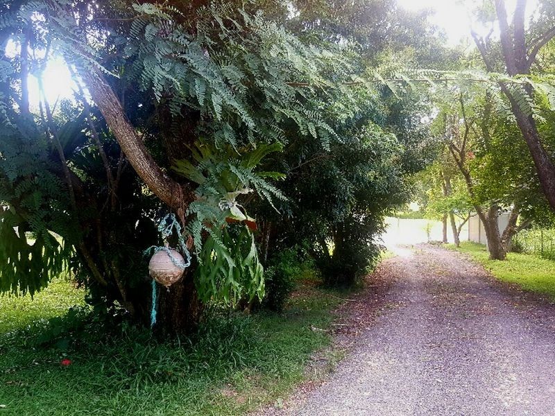 995 Wardell Road, Meerschaum Vale NSW 2477