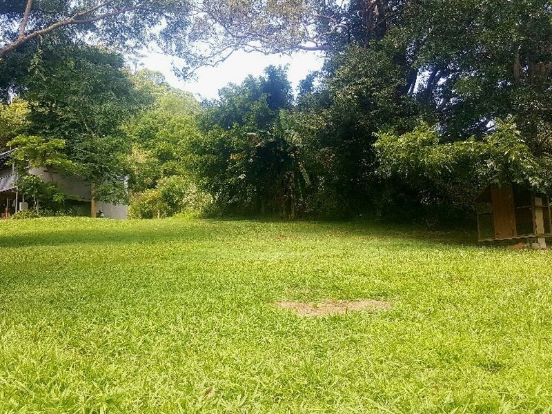 995 Wardell Road, Meerschaum Vale NSW 2477