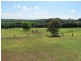 1566 Bangalow Road, Clunes NSW 2480
