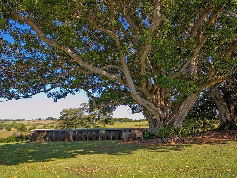 30. Mollys Grass Road, Tregeagle NSW 2480