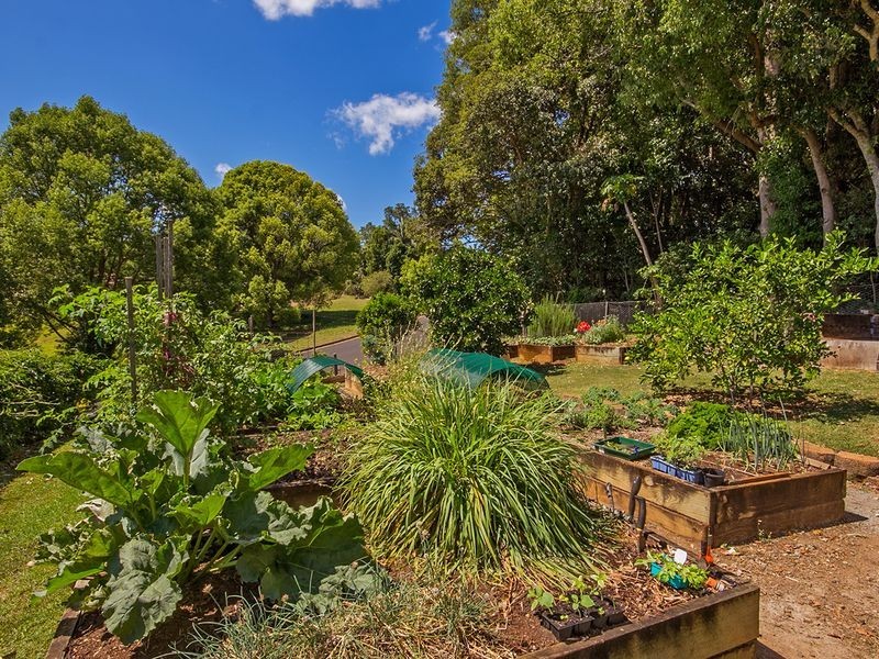 101. Platypus Drive, Uralba NSW 2477