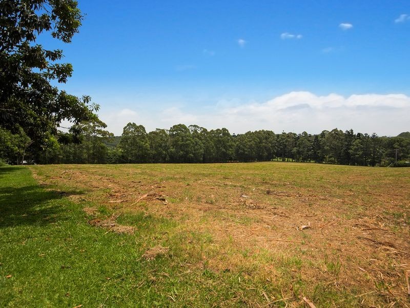 53 Shaws Lane, Tuckombil NSW 2477