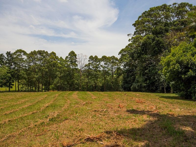 53 Shaws Lane, Tuckombil NSW 2477