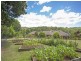 101. Platypus Drive, Uralba NSW 2477
