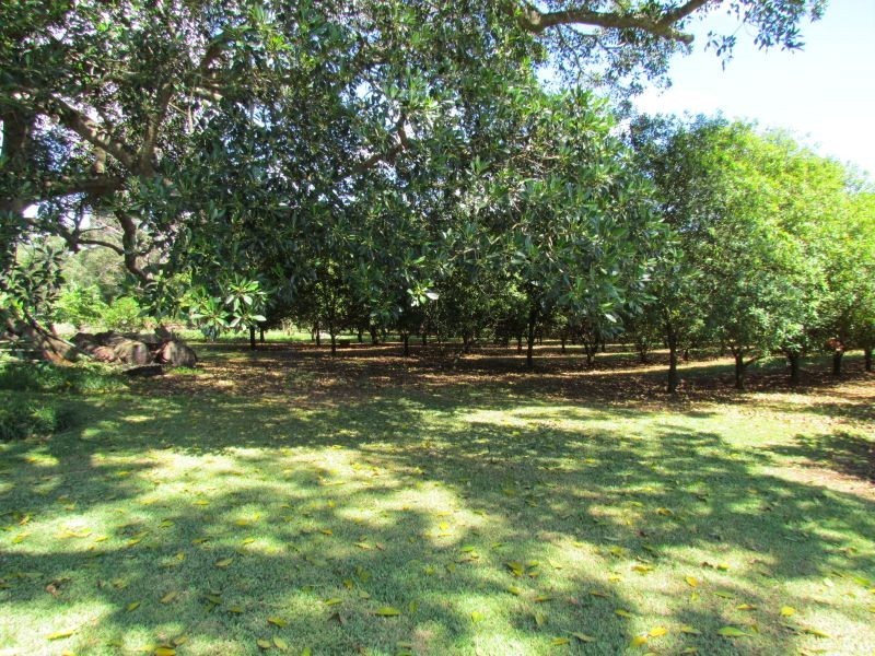 83 Rous Road, Rous NSW 2477