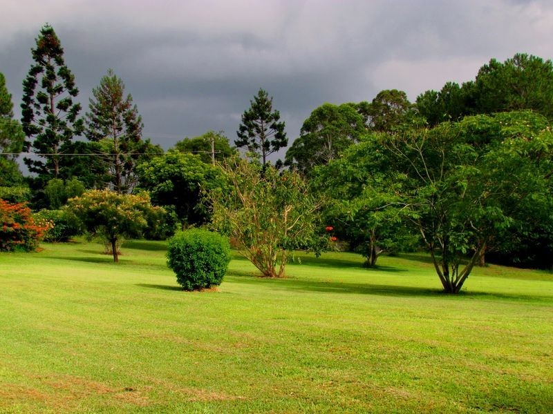 160. Byrnes Lane, Tuckombil NSW 2477