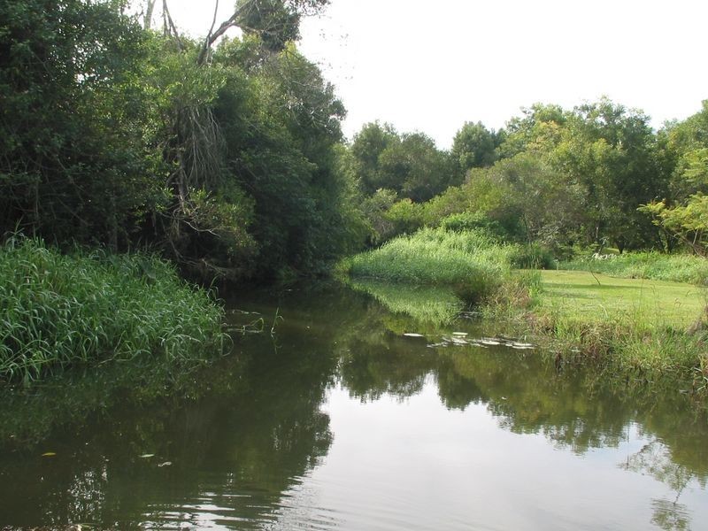 122. Alstonvale Road, Alstonville NSW 2477