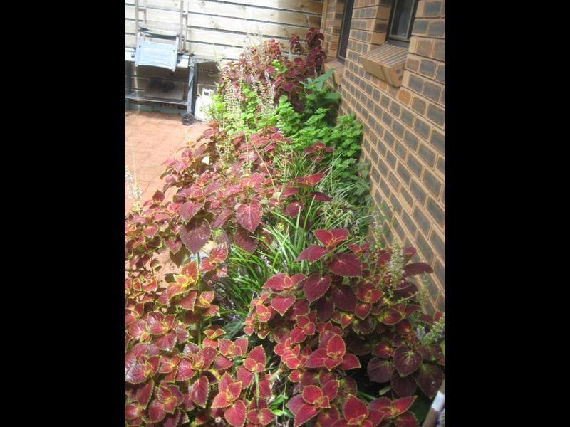 2/86 Mellis Circuit, Alstonville NSW 2477