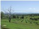 1118 Bruxner Highway, Richmond Hill NSW 2480
