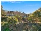 11 Rainforest Drive, Eltham NSW 2480