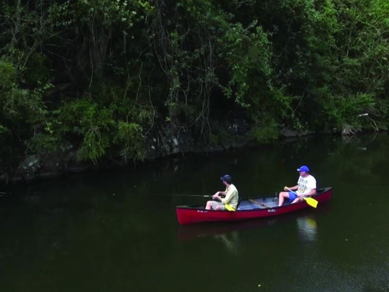 78 Willowbank Drive, Alstonville NSW 2477