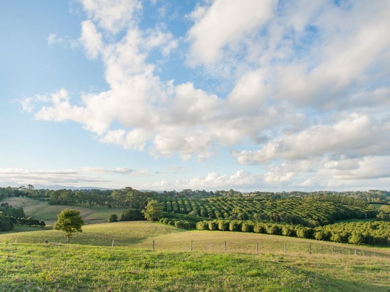 165. Rifle Range Road, Wollongbar NSW 2477