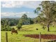 165. Rifle Range Road, Wollongbar NSW 2477