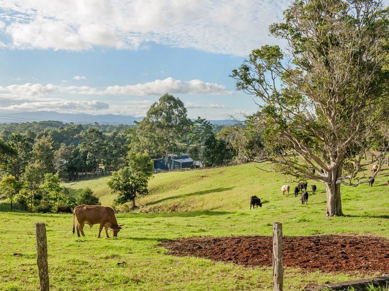 165. Rifle Range Road, Wollongbar NSW 2477