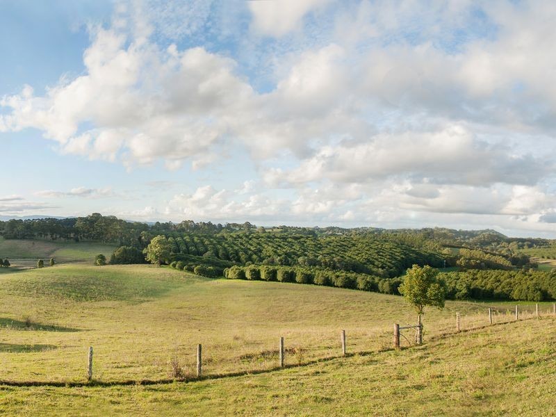 165. Rifle Range Road, Wollongbar NSW 2477