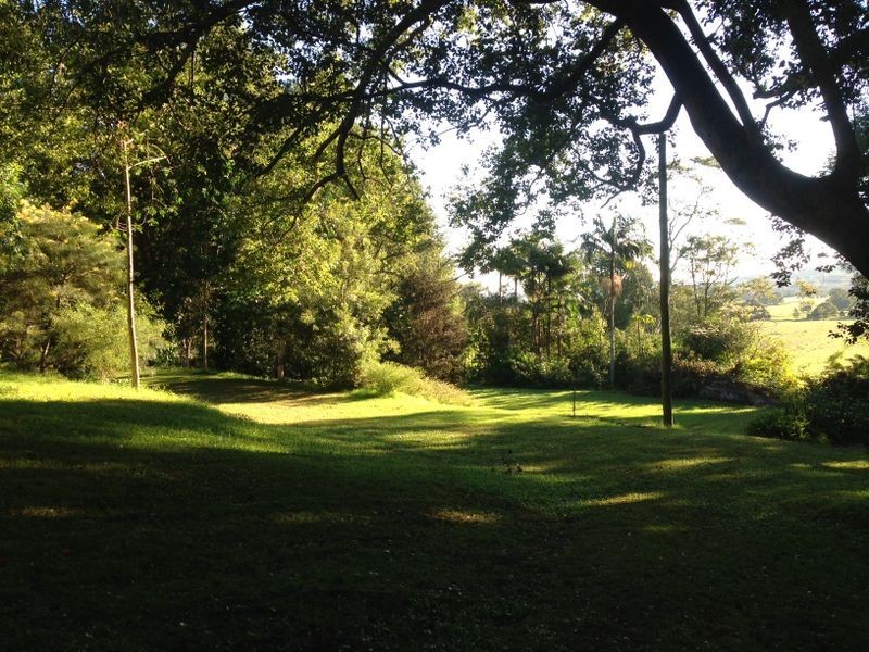 911 Wardell Road, Meerschaum Vale NSW 2477