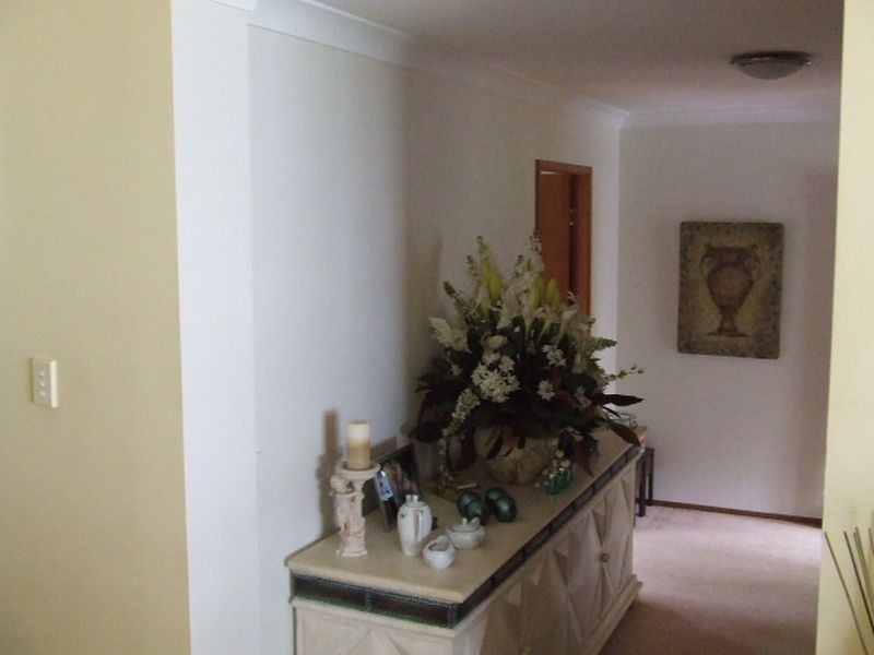 154 Camerons Road, Mcleans Ridges NSW 2480