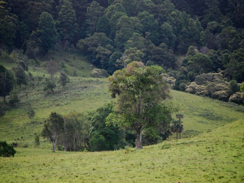 144a Thurgates Lane, Wardell NSW 2477