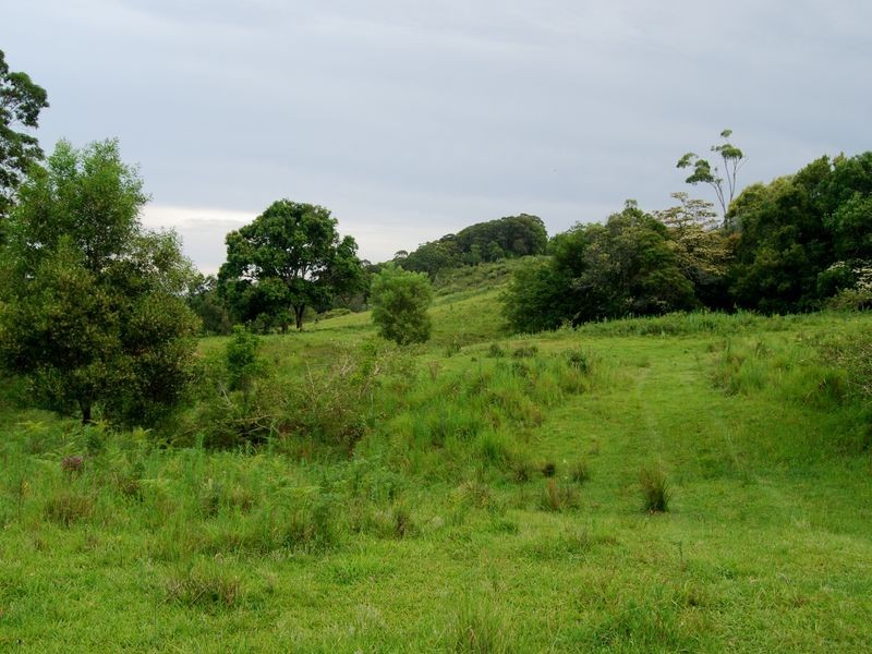 144a Thurgates Lane, Wardell NSW 2477