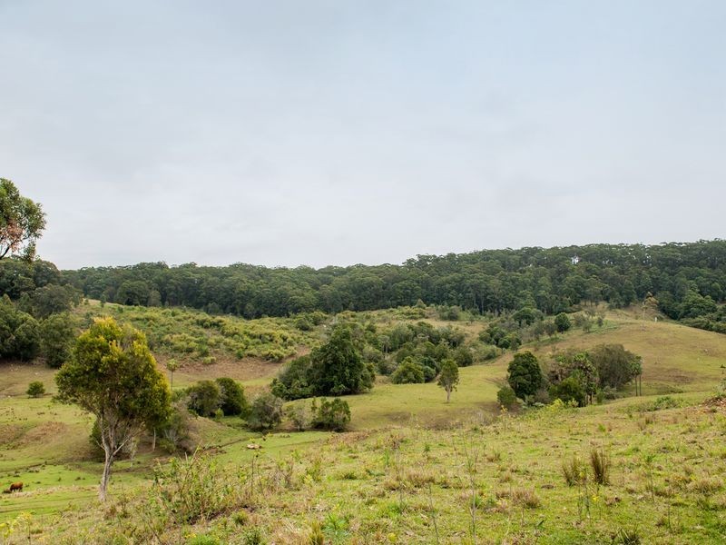 144a Thurgates Lane, Wardell NSW 2477