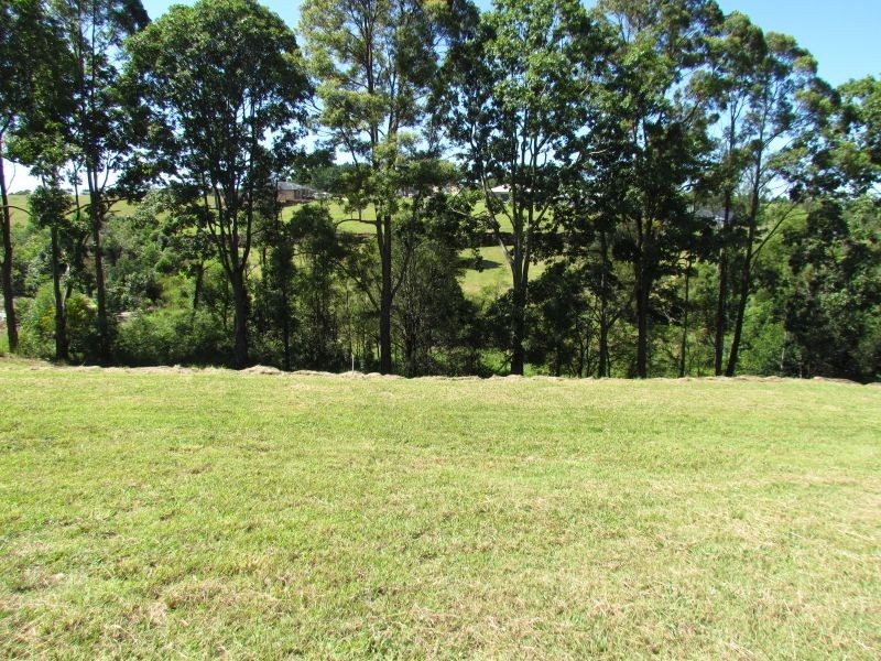 Lot 1 Springcreek Place, Wollongbar NSW 2477