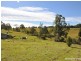 17 Callicoma Court, Wollongbar NSW 2477
