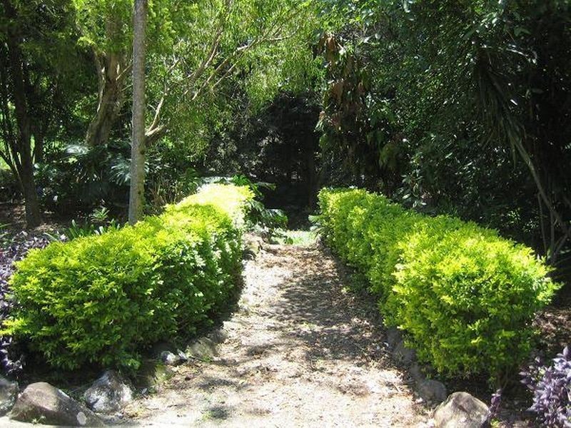 4 Coachwood Court, Alstonville NSW 2477