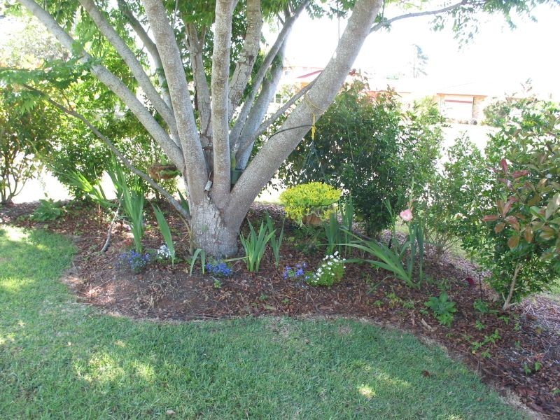 3 Freeborn Place, Alstonville NSW 2477